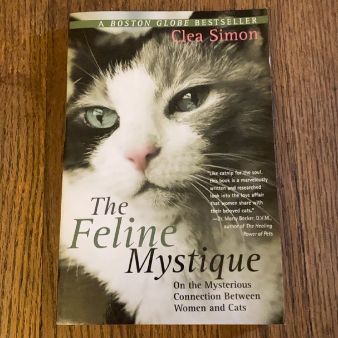 The Feline Mystique