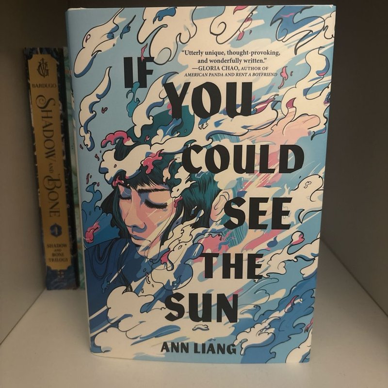 If You Could See the Sun