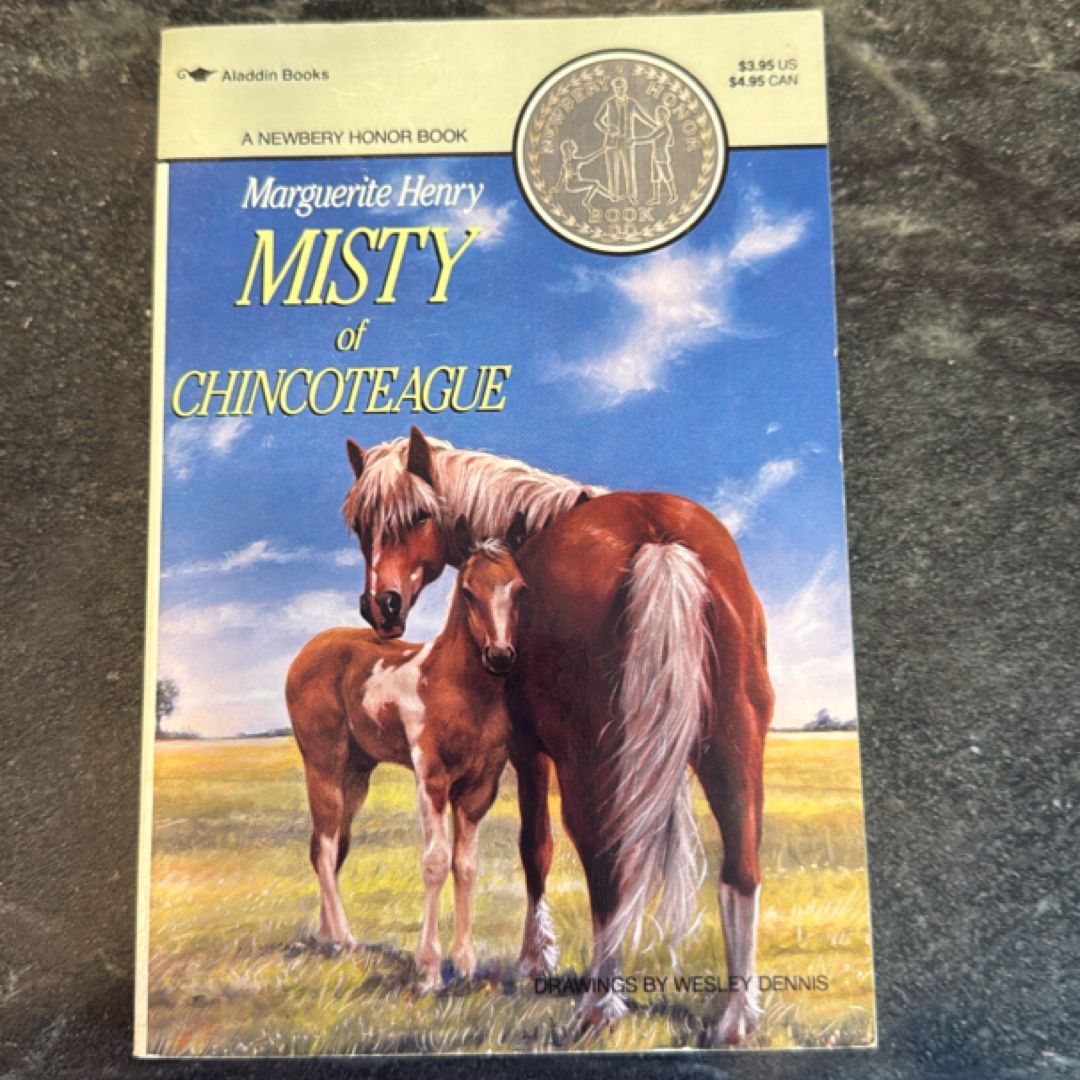Misty of Chincoteague