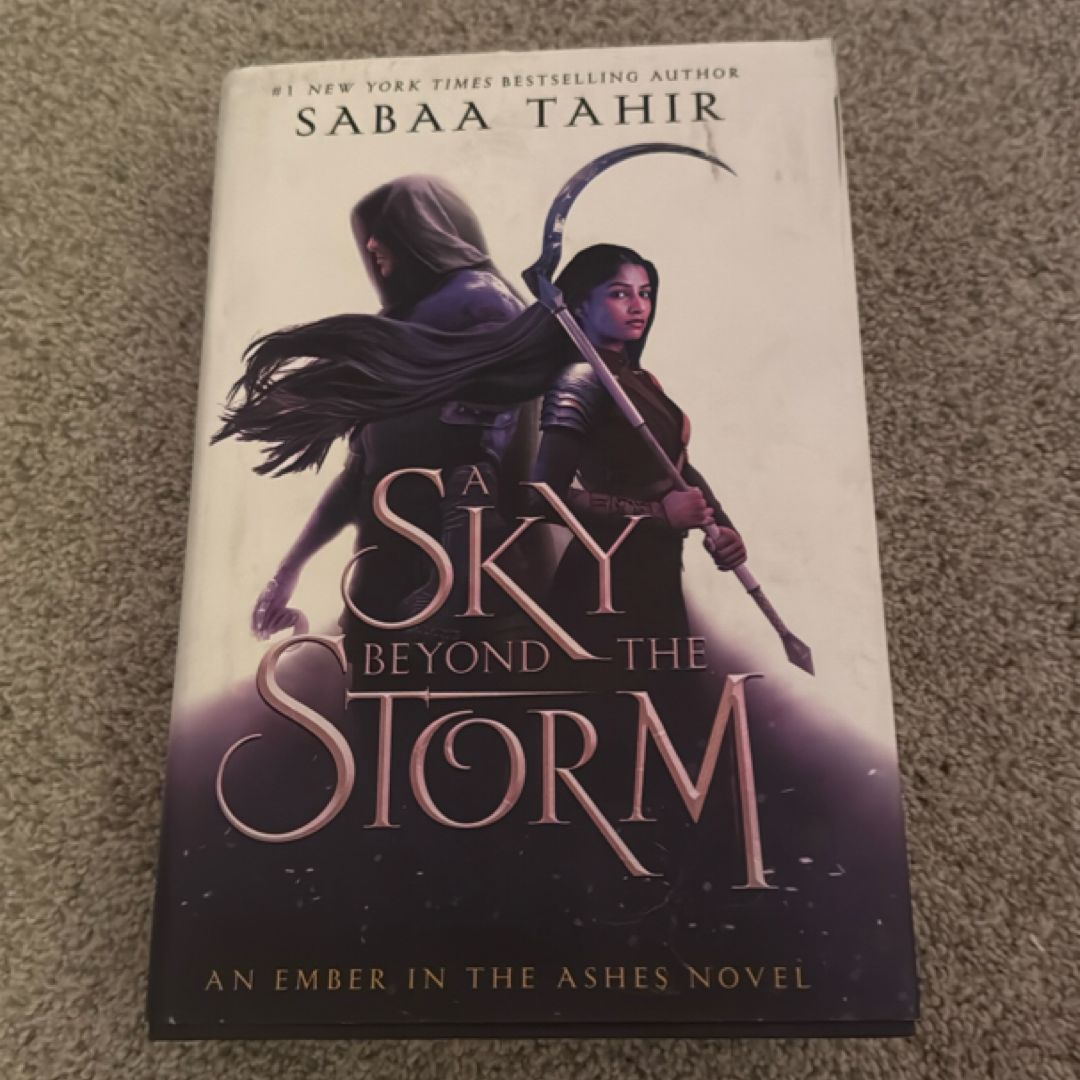 A Sky Beyond the Storm