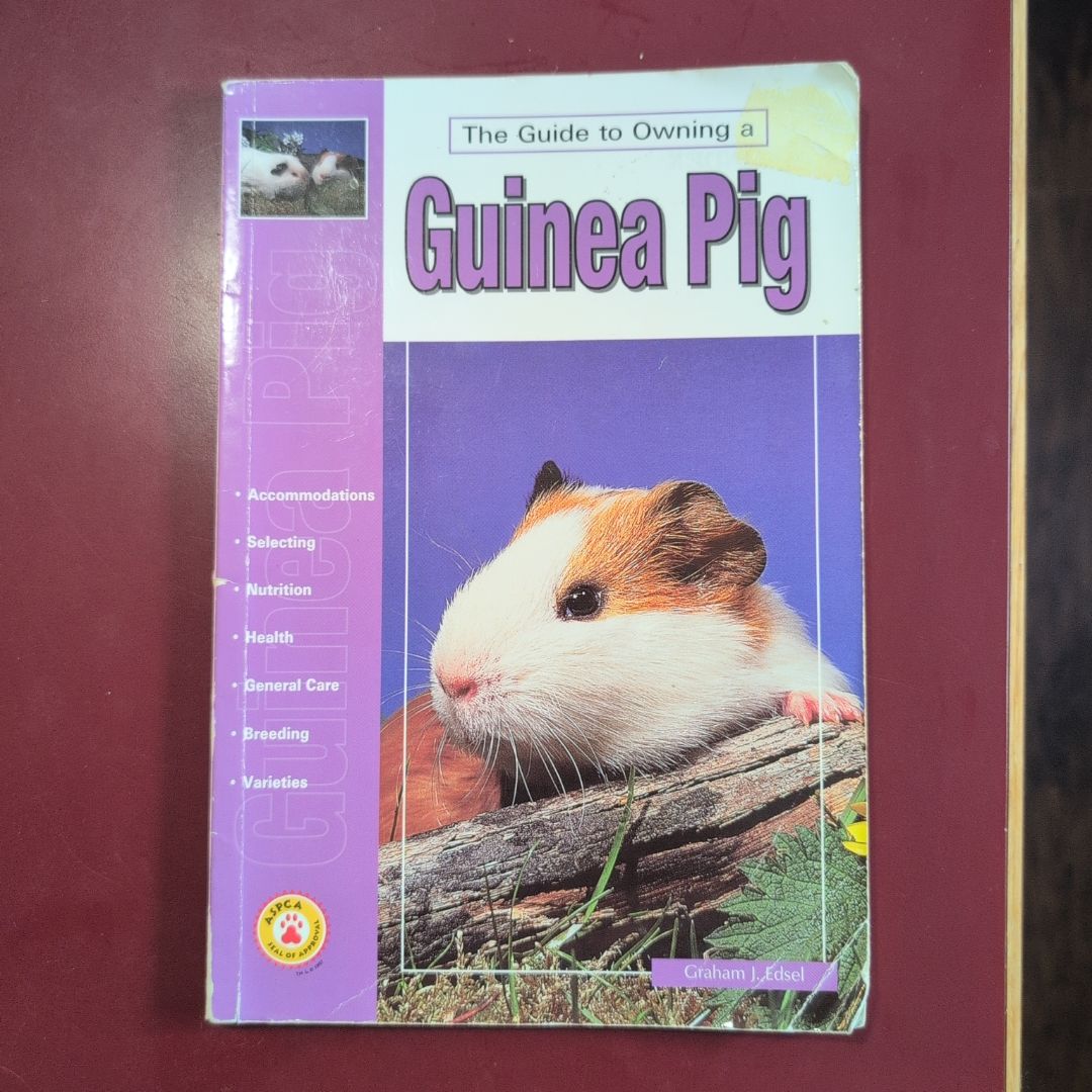 Guide to Owning a Guinea Pig