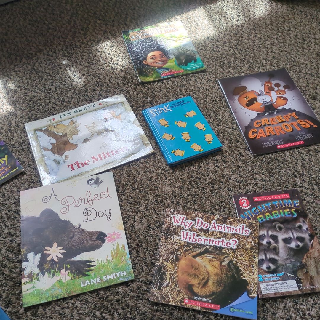 Bundle of kids books 