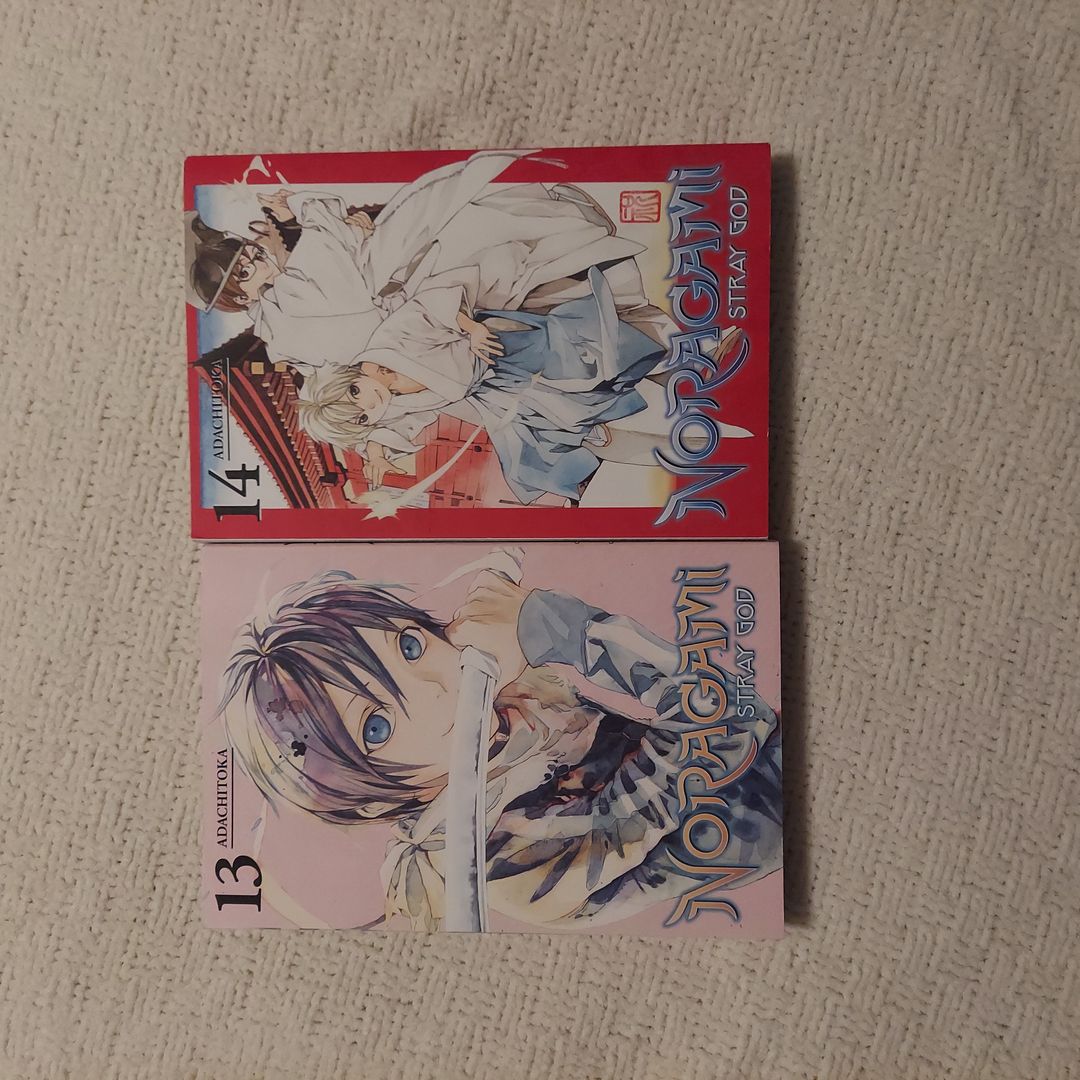 Noragami: Stray God 13