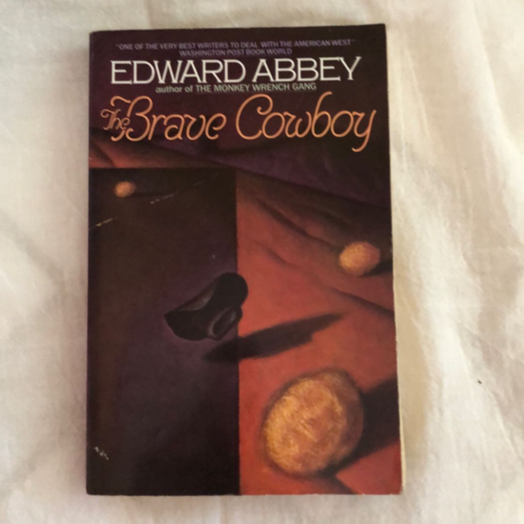 The Brave Cowboy