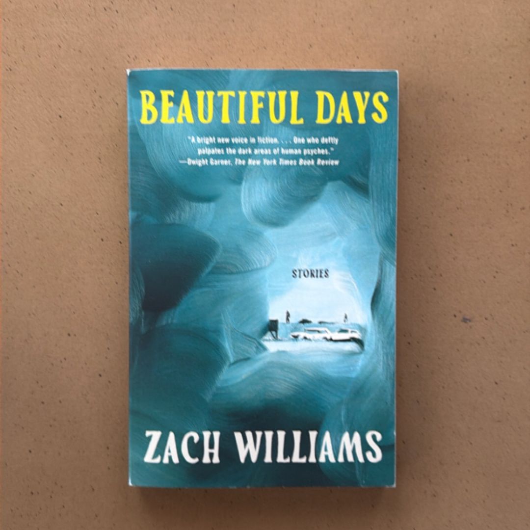 Beautiful Days