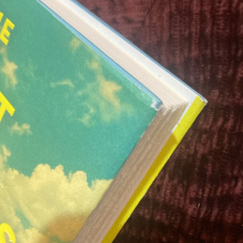 The Lost Summers of Newport