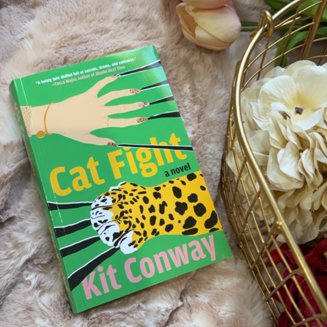 Cat Fight