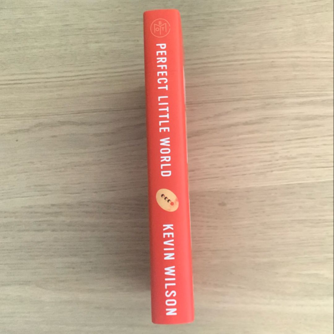 Perfect Little World