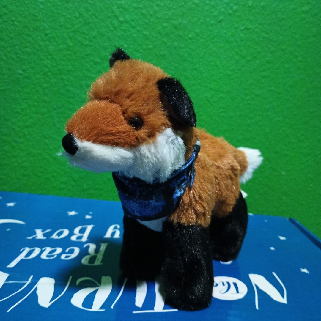 The Nocturnals Grow and Read Activity Box