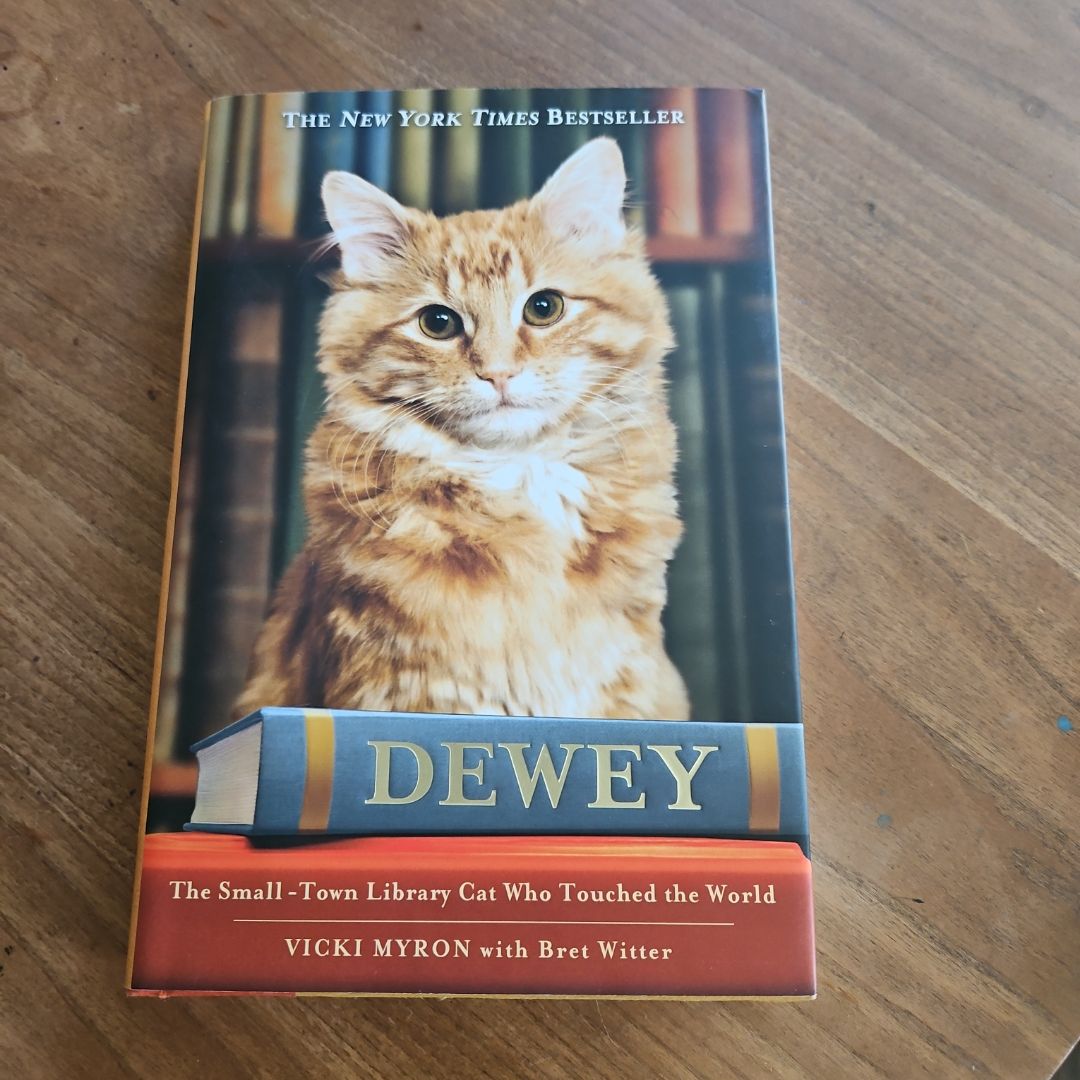 Dewey