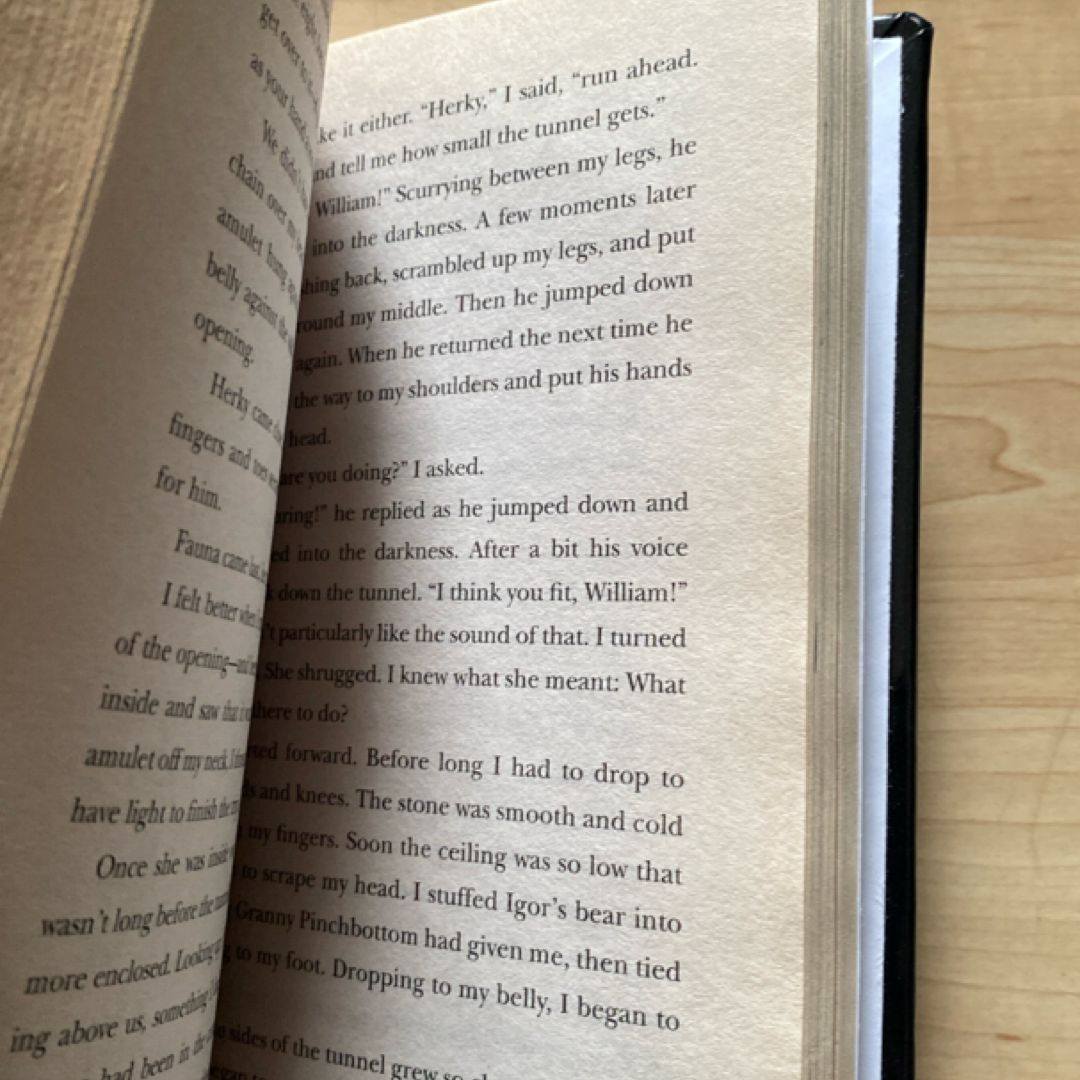 Goblins in the Castle