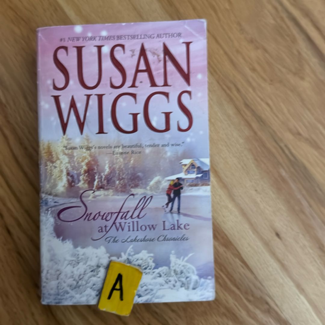 Snowfall at Willow Lake