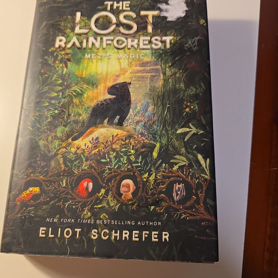 The Lost Rainforest #1: Mez's Magic