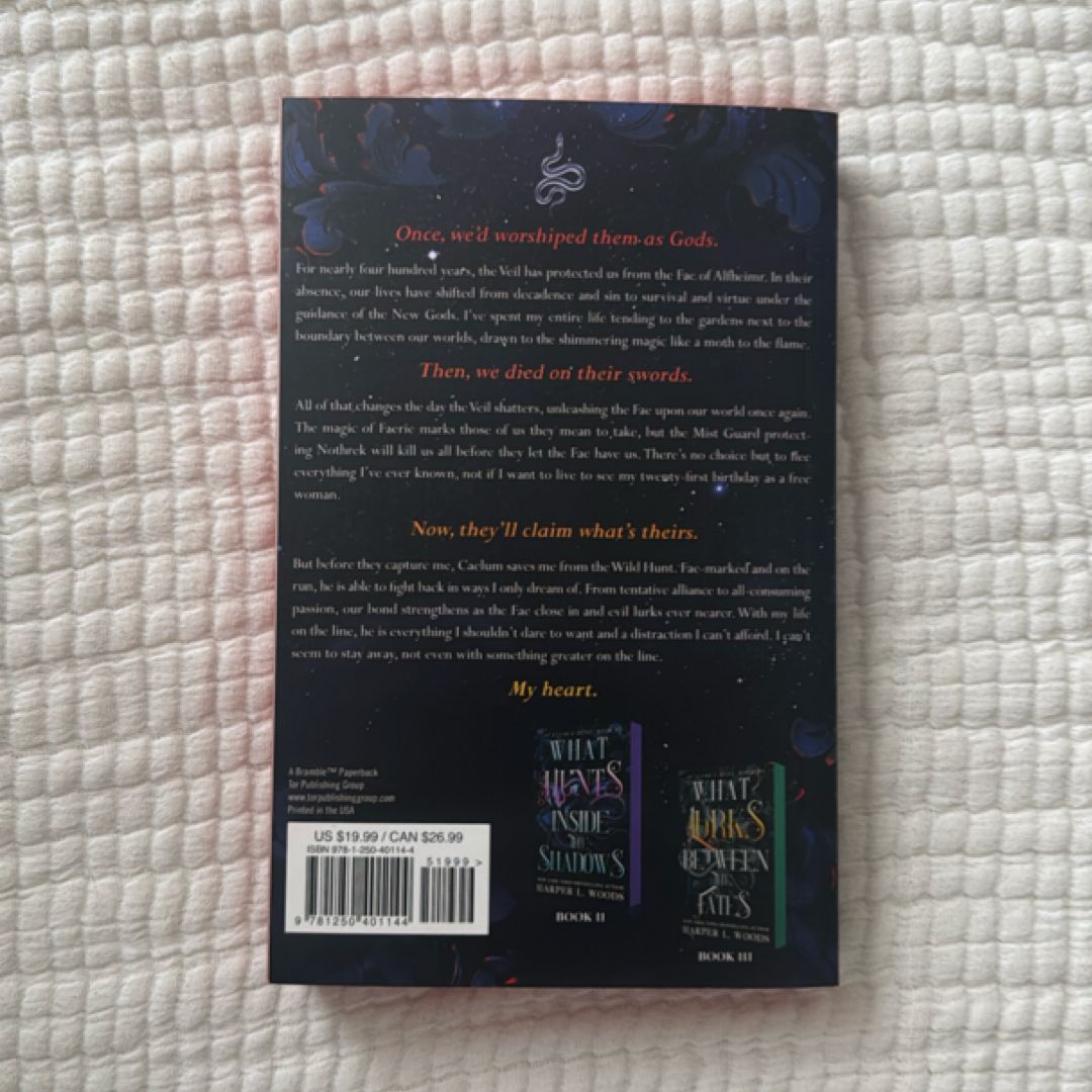 What Lies Beyond the Veil by Harper L. Woods, Paperback | Pangobooks