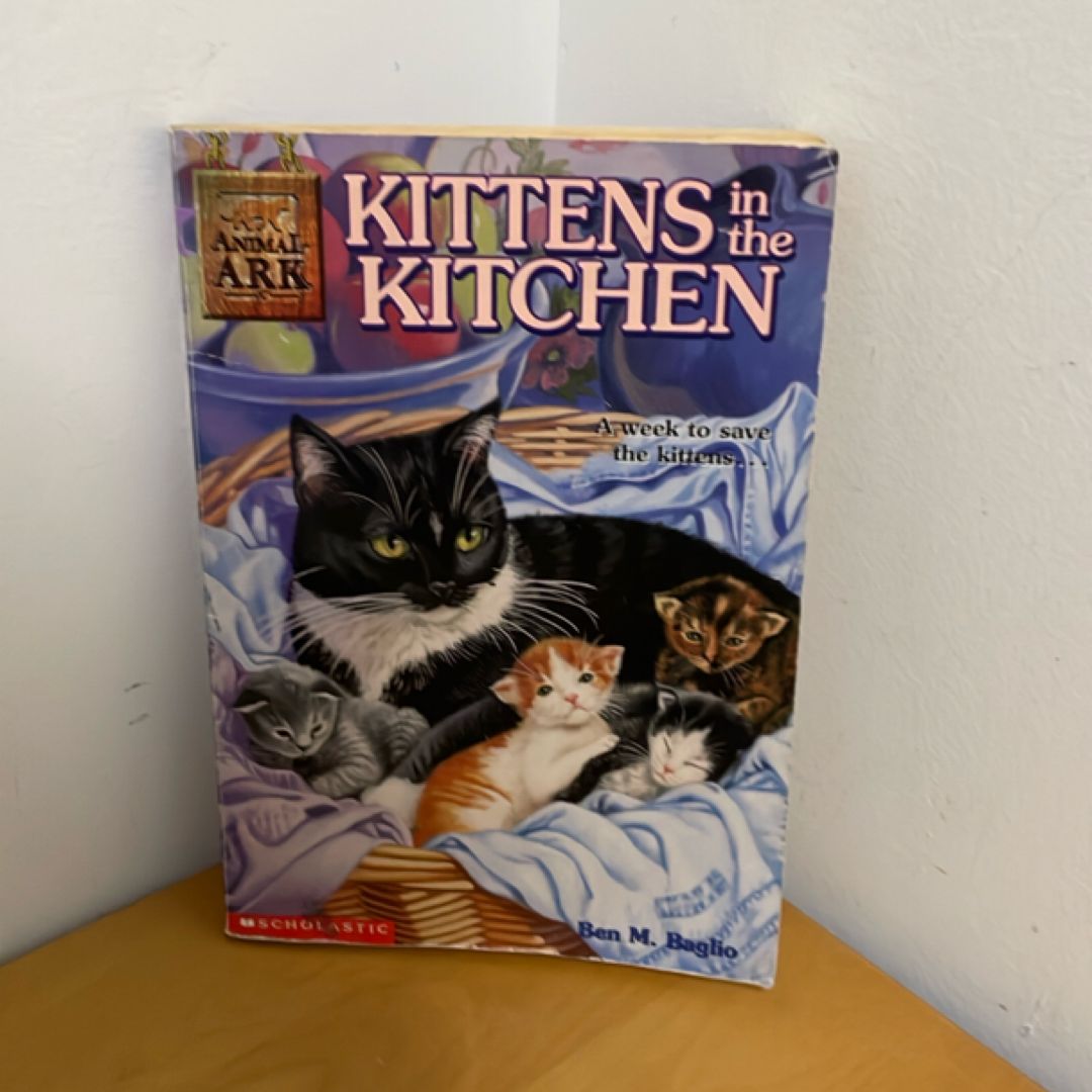Kittens in the Kitchen