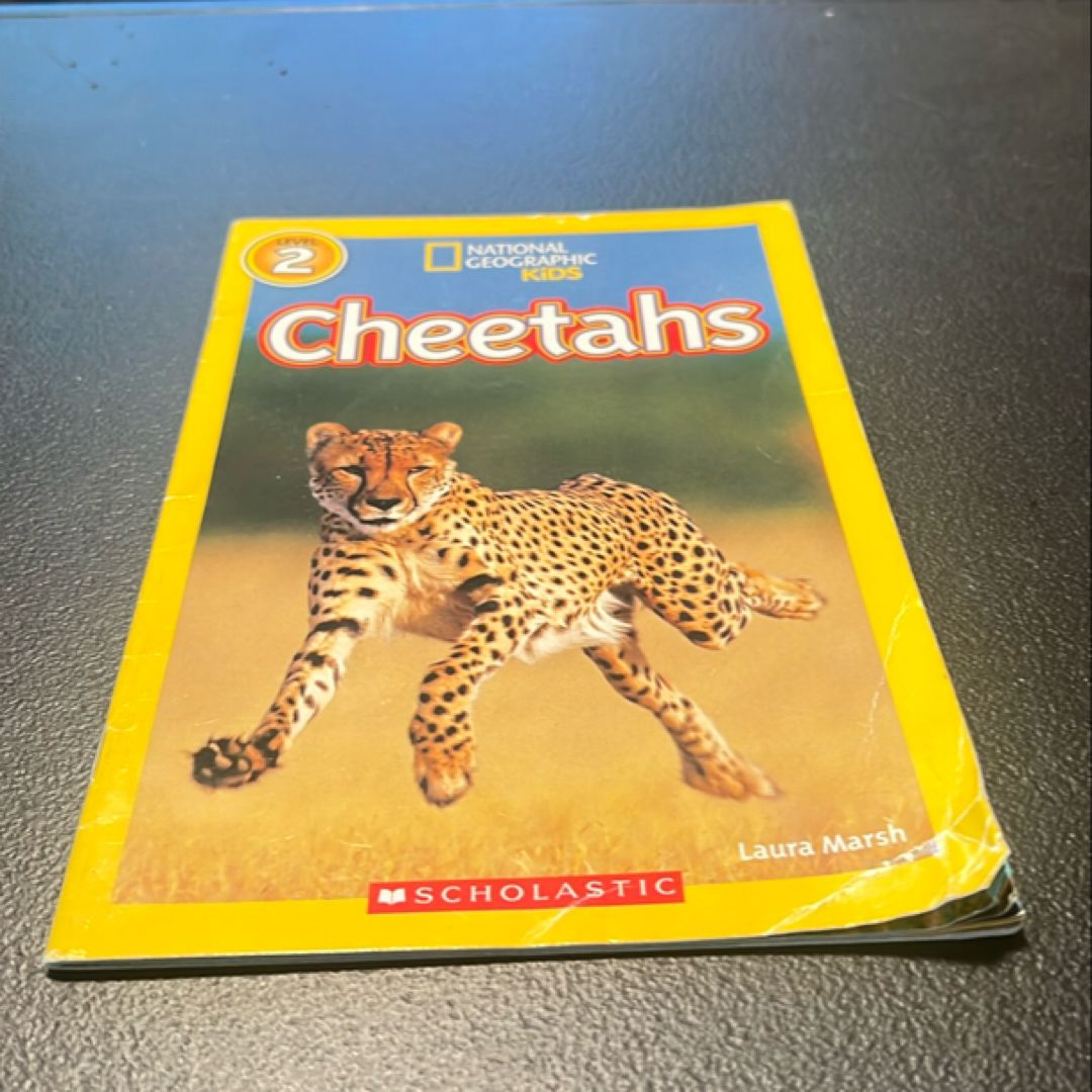 Cheetahs