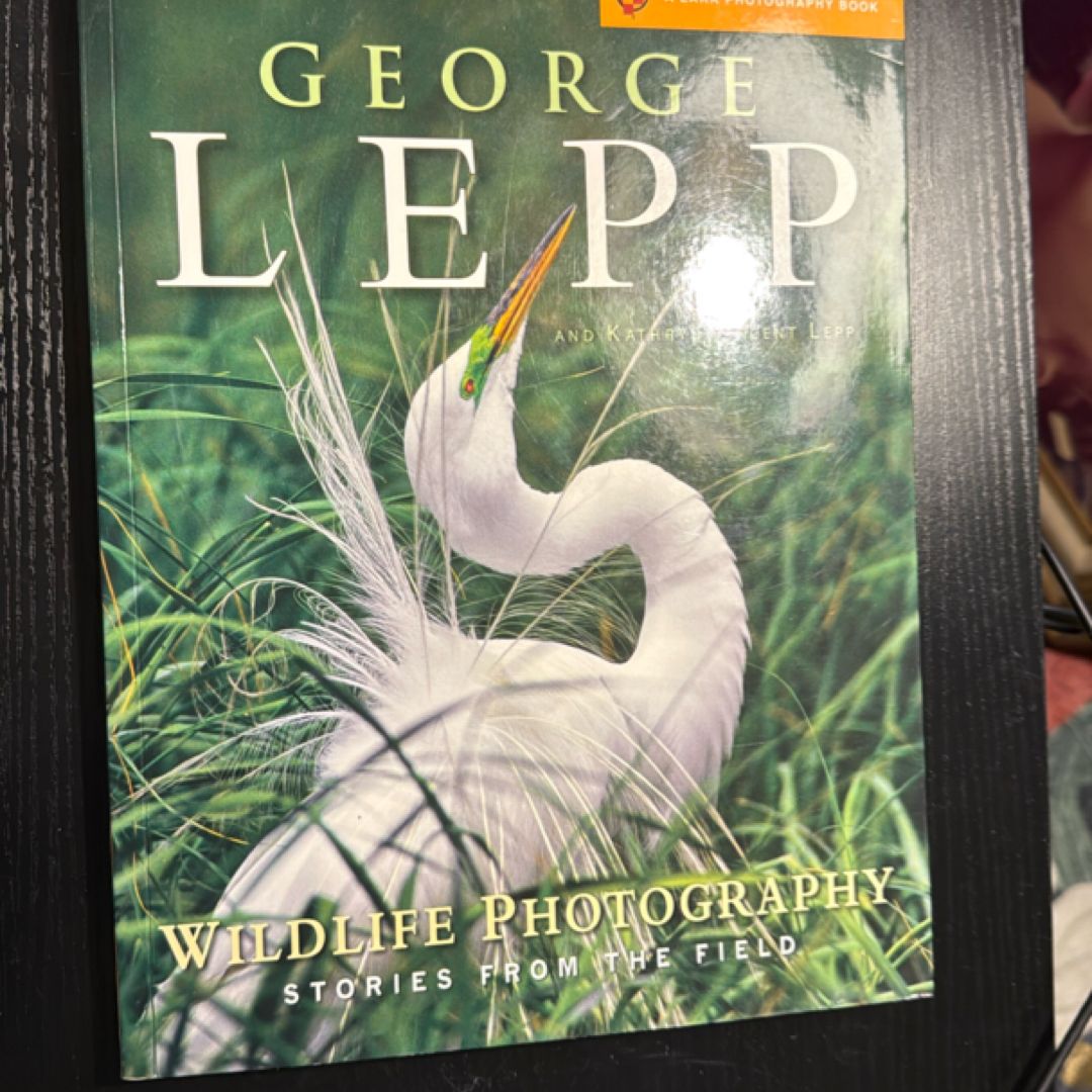 Wildlife Photography