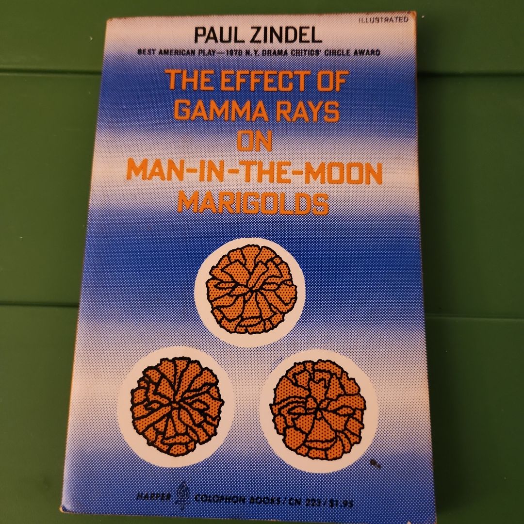 The Effects of Gamma Rays on Man-in-the-moon Marigolds
