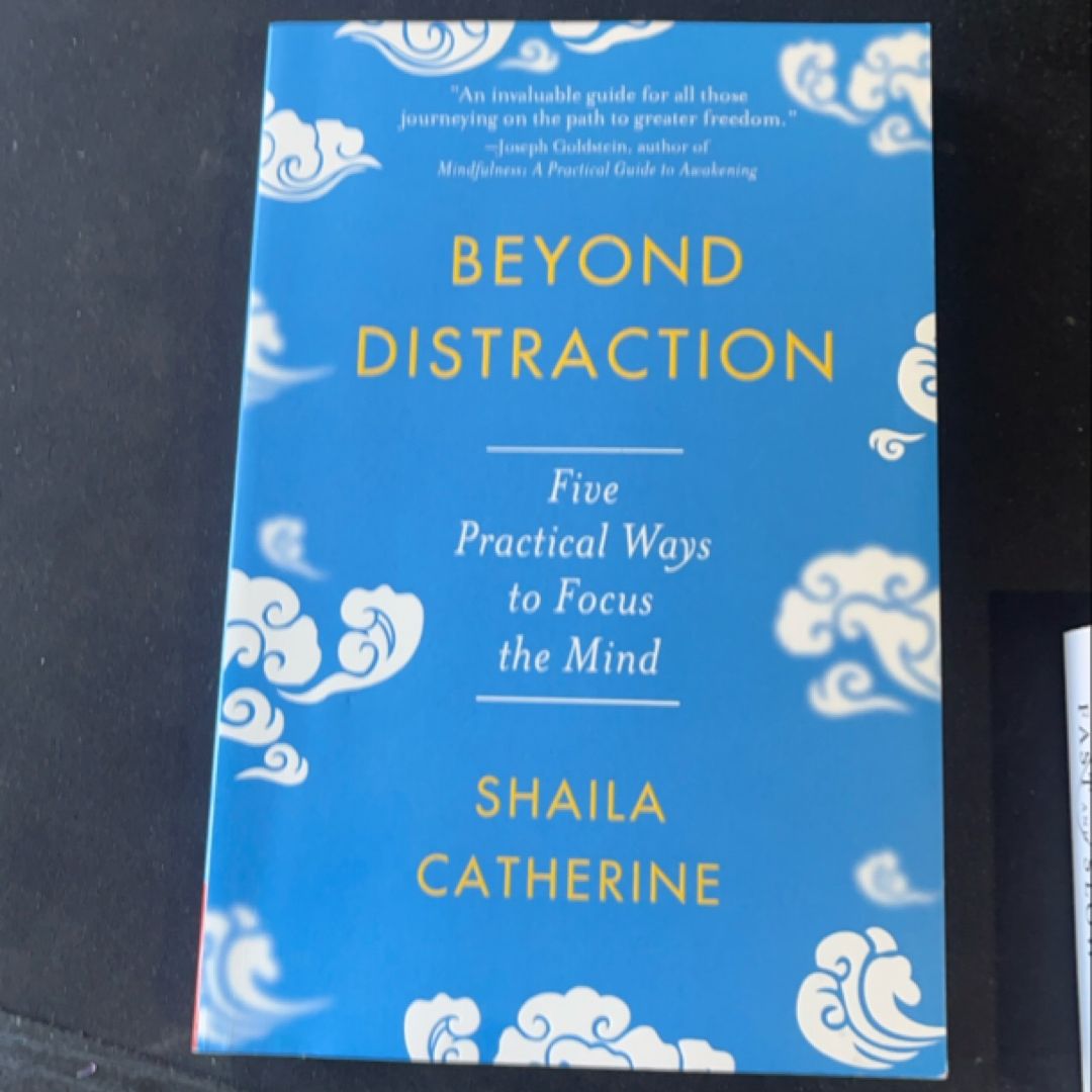 Beyond Distraction