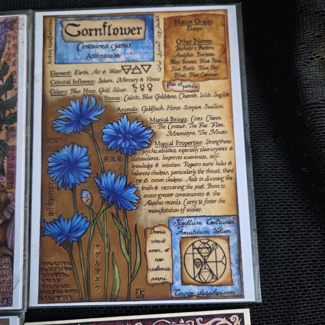 Book of Shadow Pages