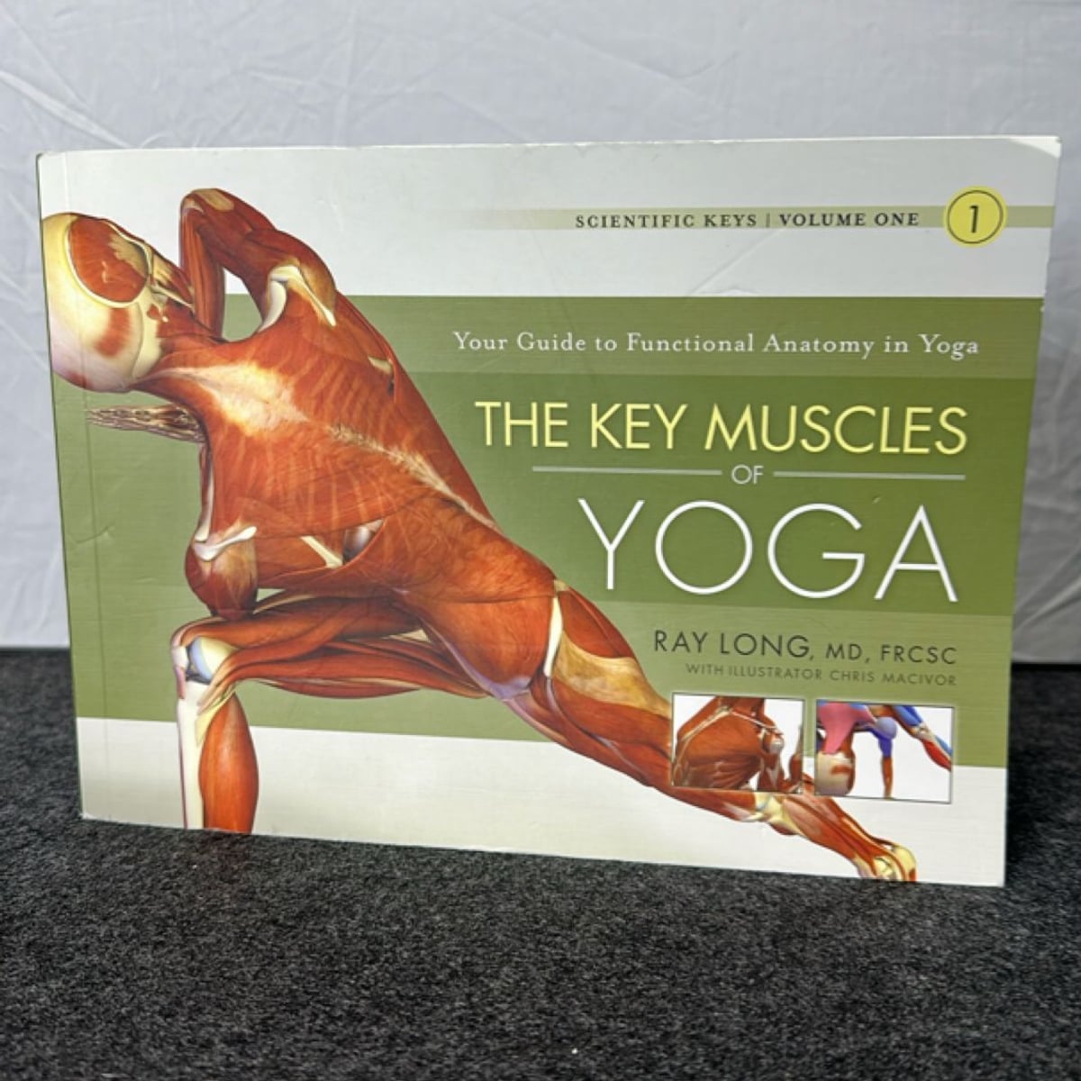 Key Muscles of Yoga by Ray Long