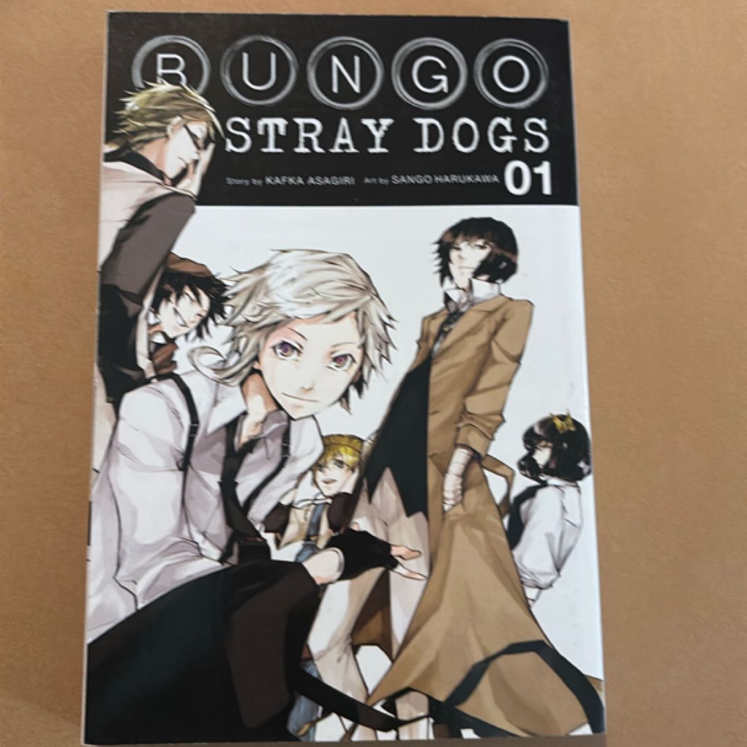 Bungo Stray Dogs, Vol. 1