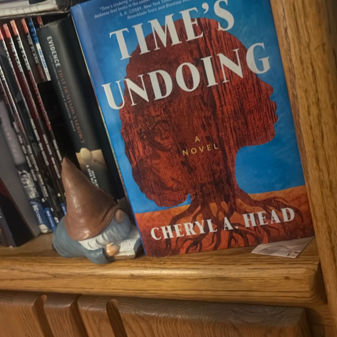 The Littles Riddles by Cheryl Mead, Paperback | Pangobooks