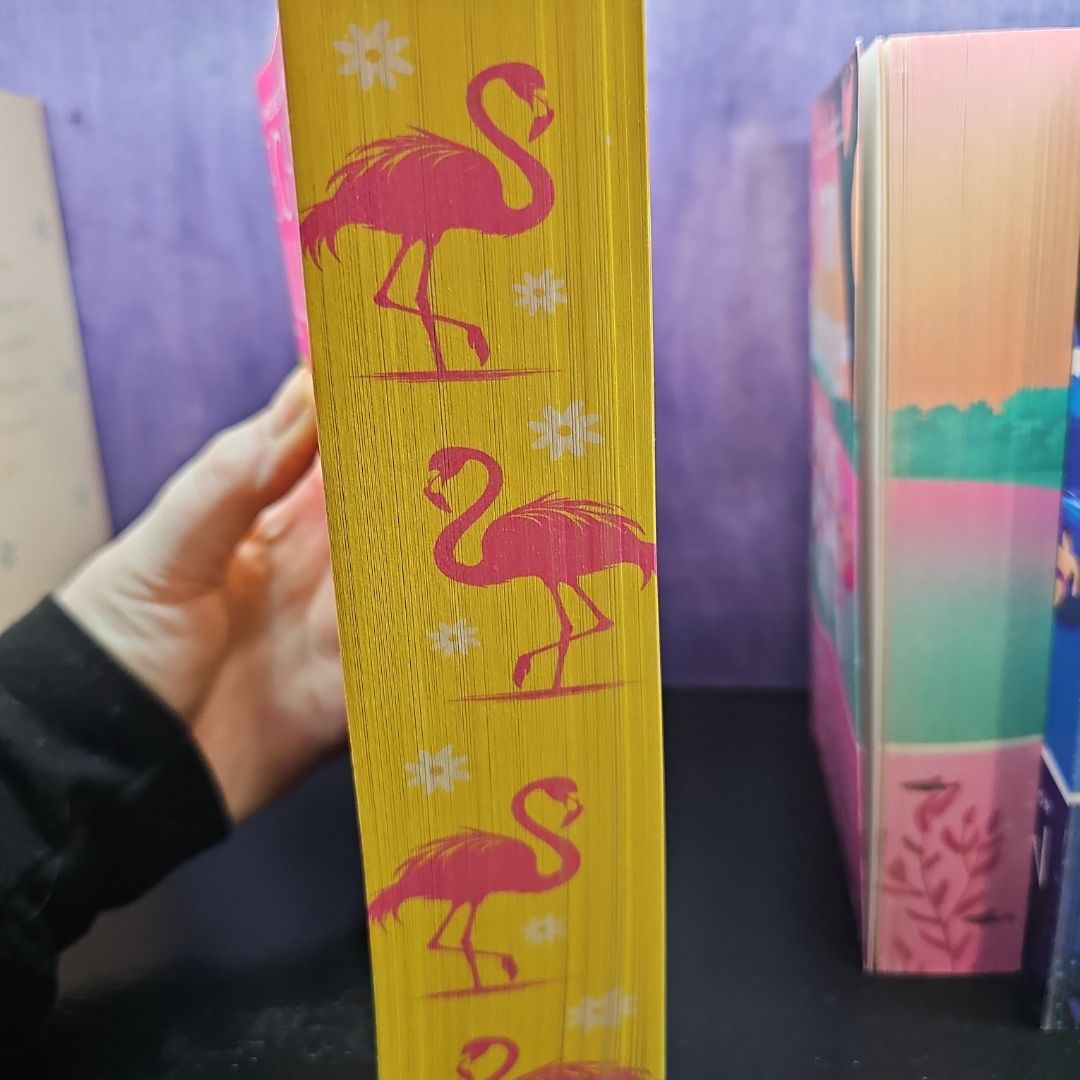 Just for the Cameras (Deluxe Edition)