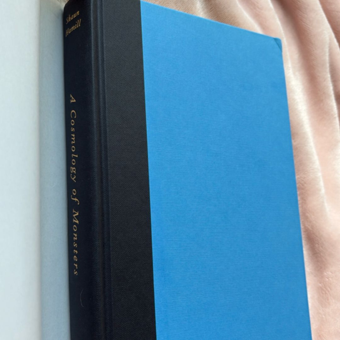 A Cosmology of Monsters