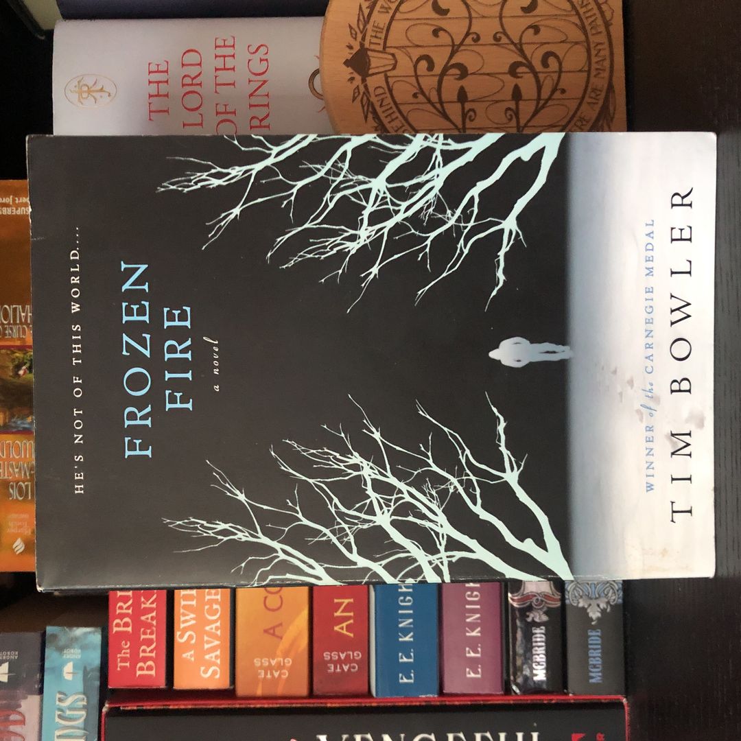 Frozen Fire by Tim Bowler, Paperback | Pangobooks