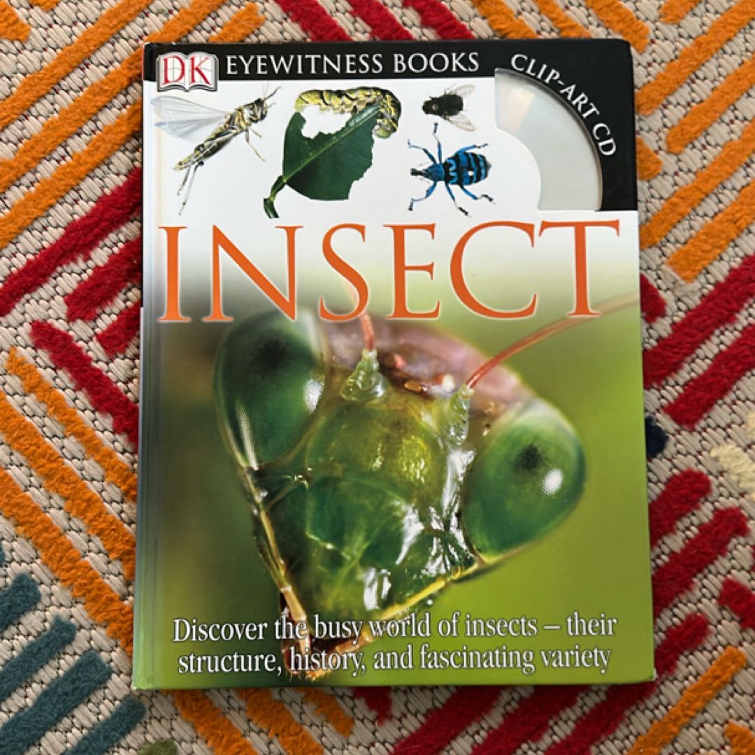 Insect