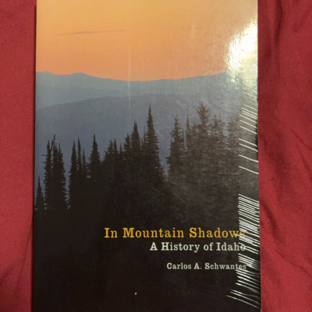 In Mountain Shadows