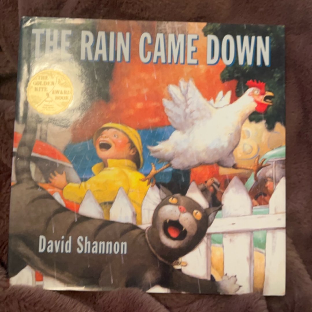 The Rain Came Down