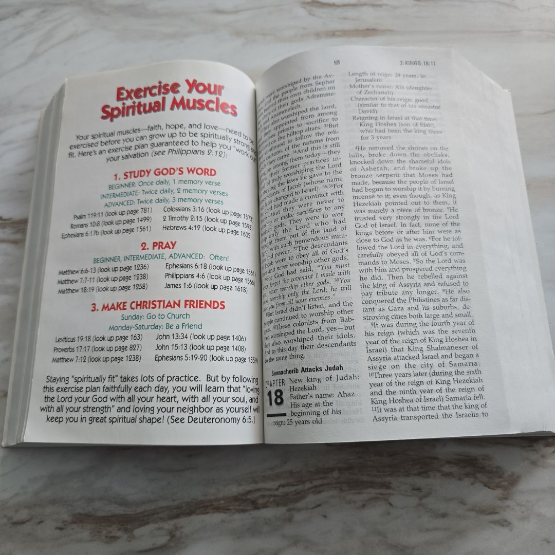 The Young Reader's Study Bible