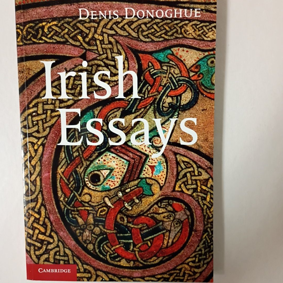 Irish Essays