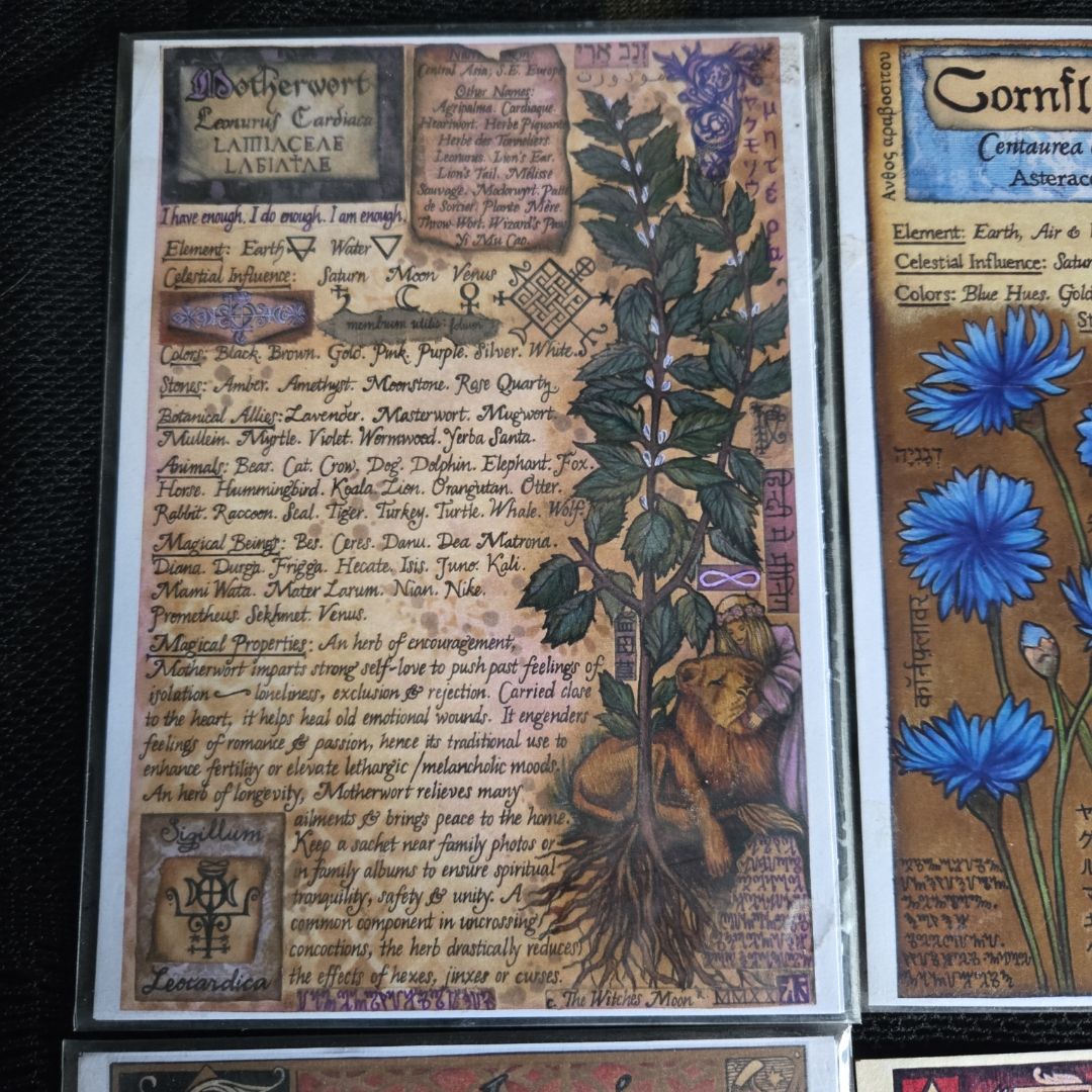 Book of Shadow Pages