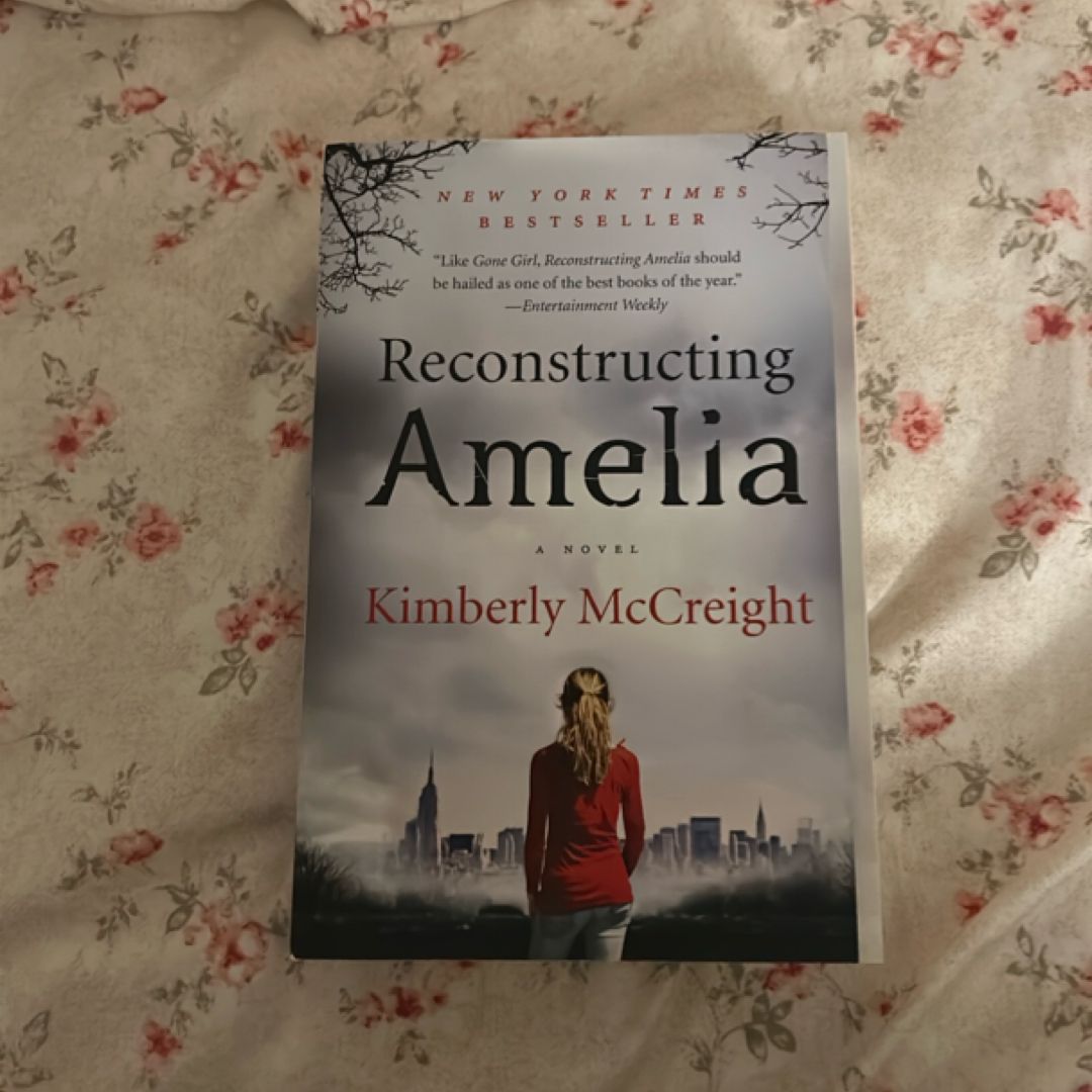 Reconstructing Amelia