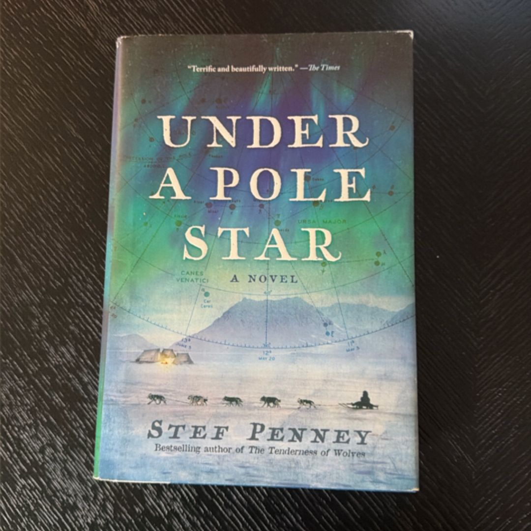 Under a Pole Star
