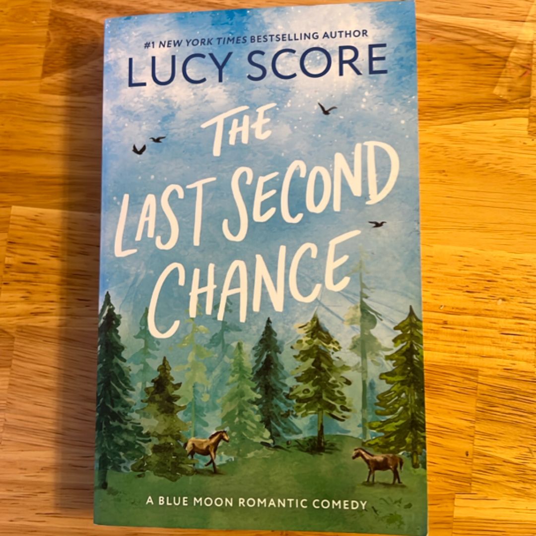 The Last Second Chance