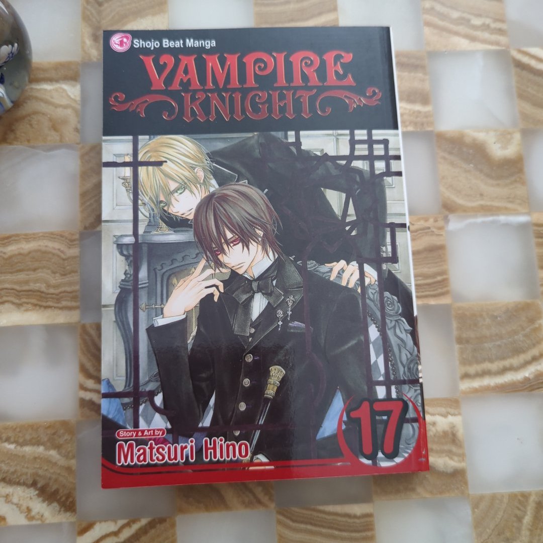 Vampire Knight, Vol. 17