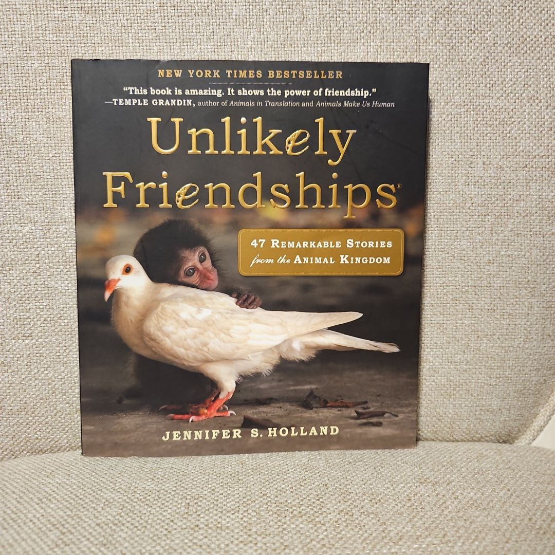 Unlikely Friendships