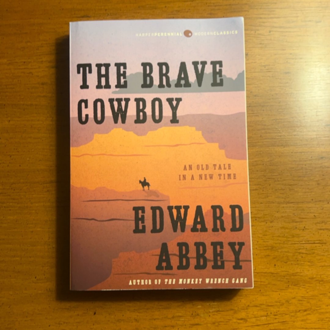 The Brave Cowboy