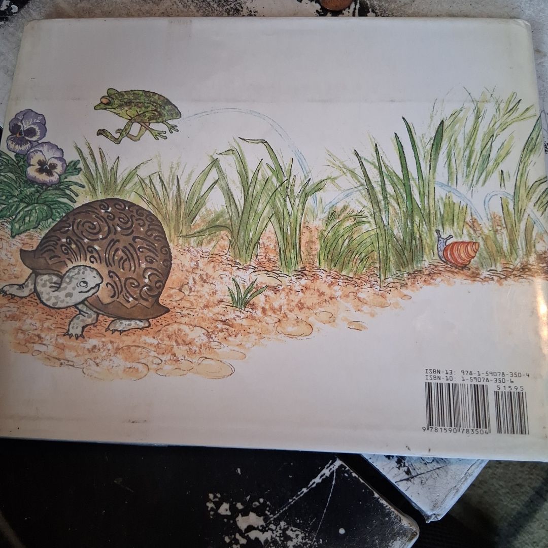 Emma's Turtle