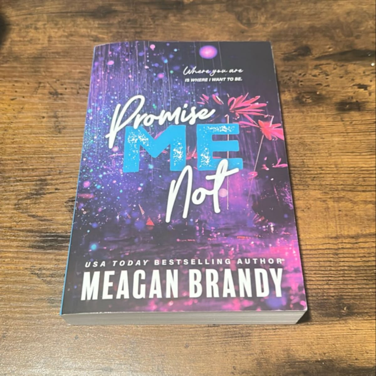 Promise Me Not by Meagan Brandy