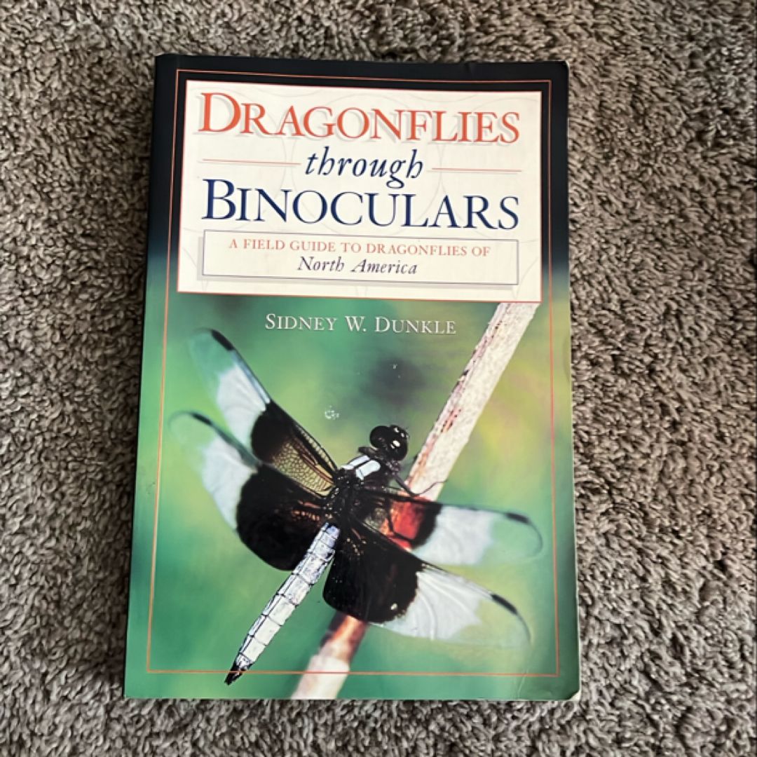 Dragonflies Through Binoculars