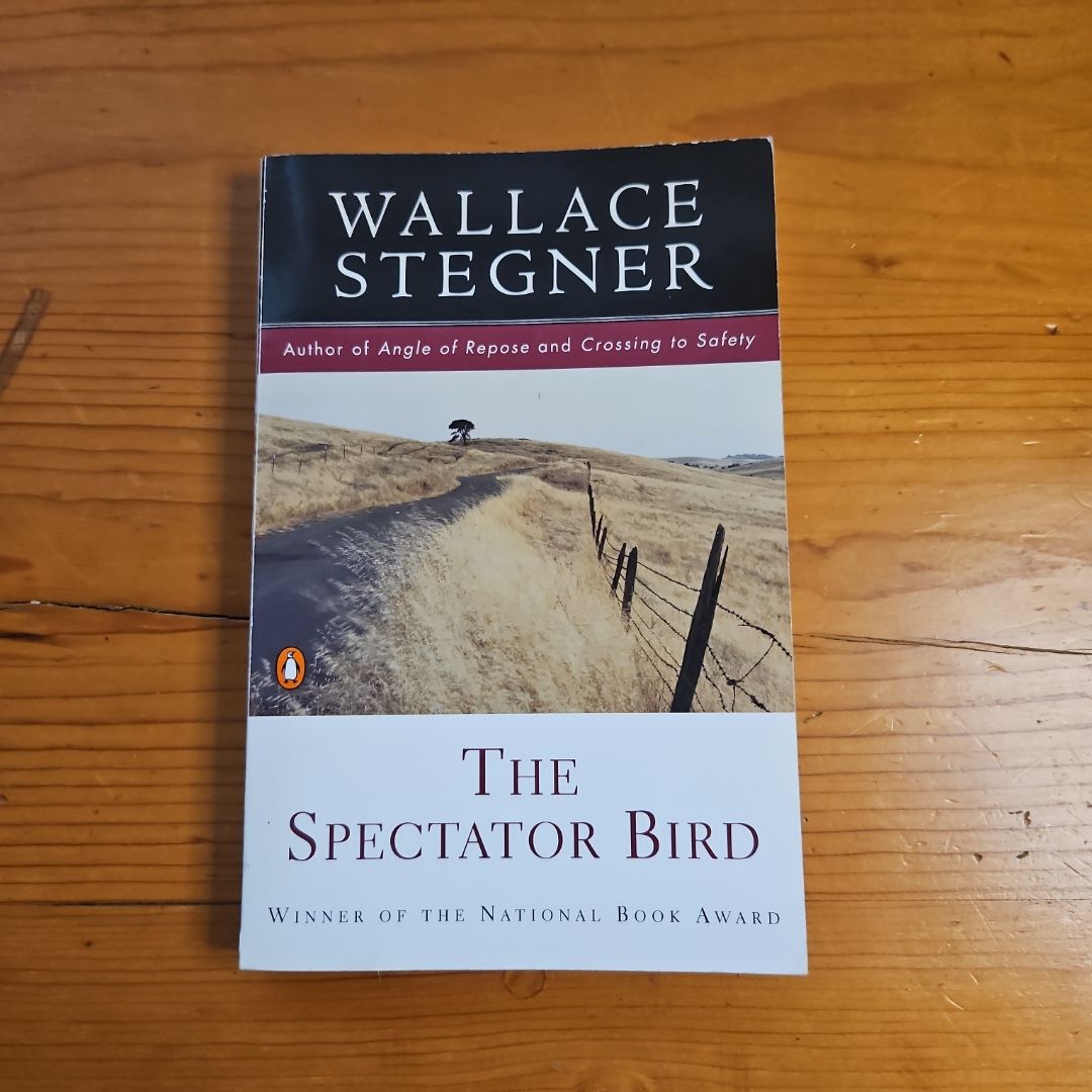 The Spectator Bird