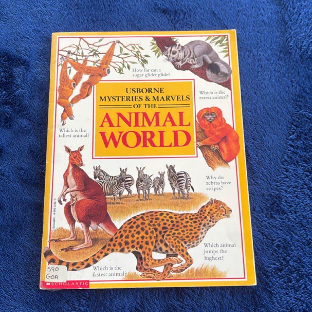 Animal World