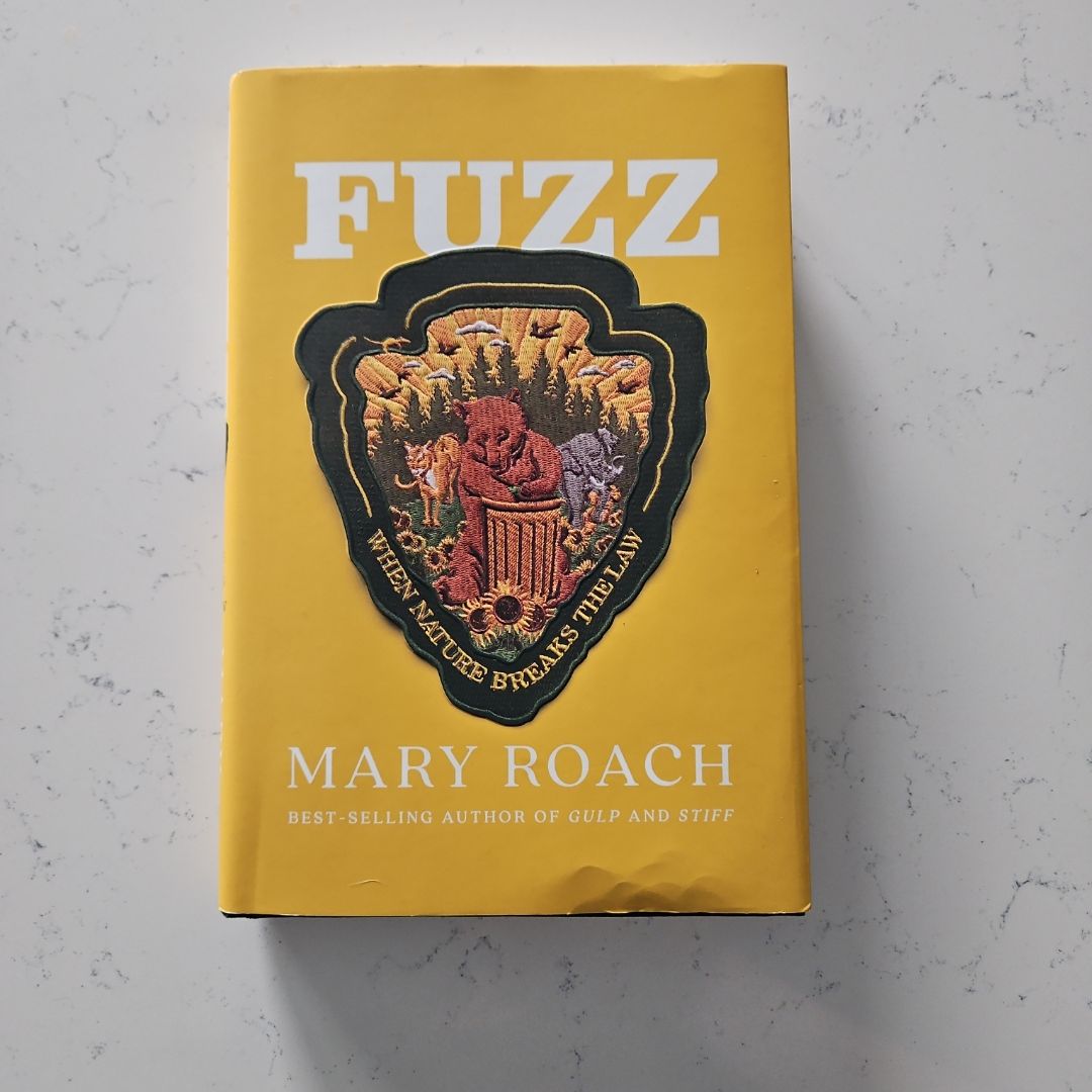 Fuzz