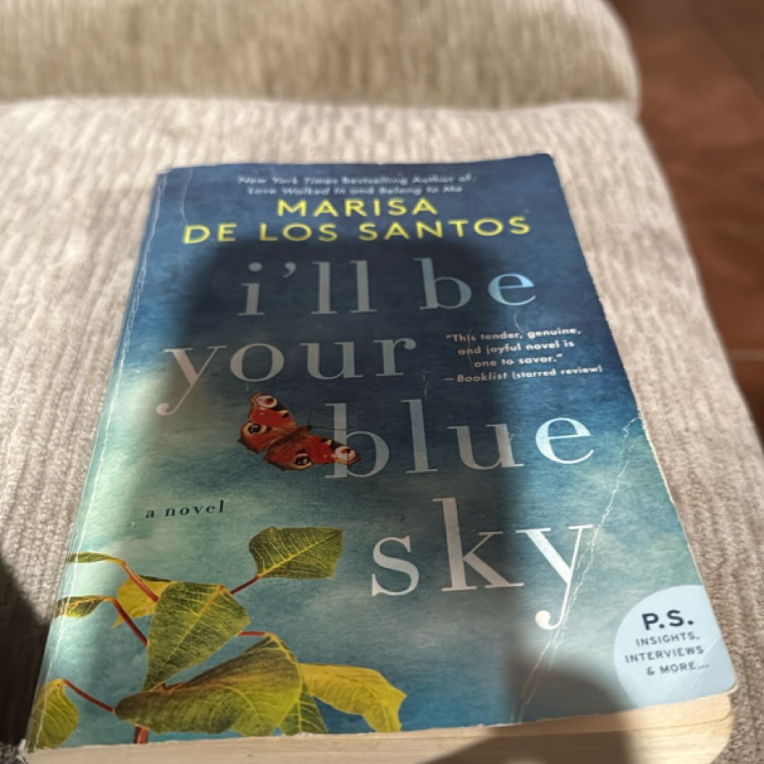 I'll Be Your Blue Sky