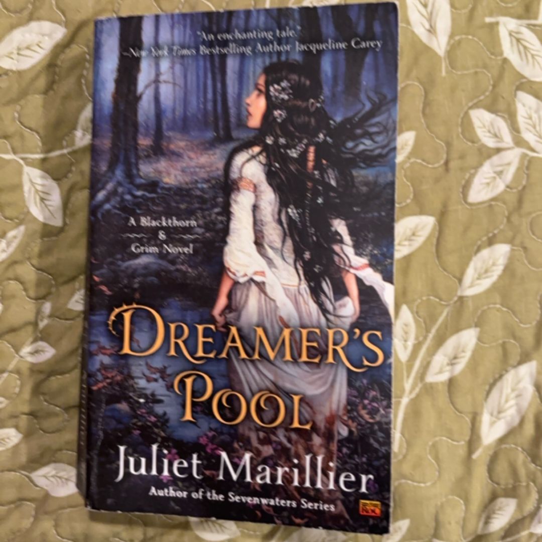 Dreamer's Pool